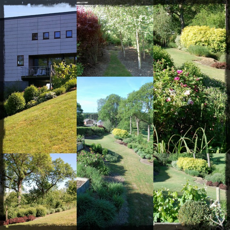 collage_chantier_dadoumont_04