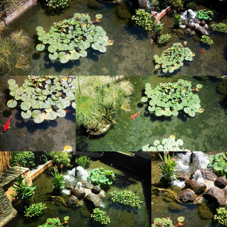 collage_pièce_d_eau