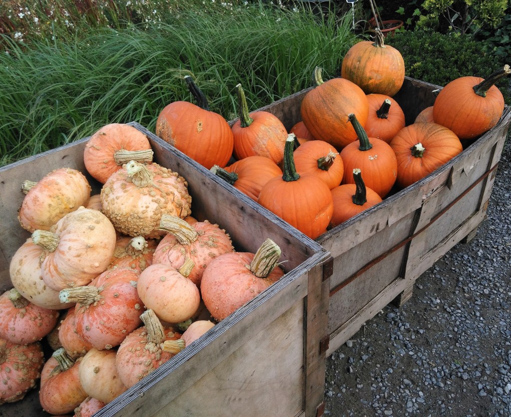 Cageots de Cucurbitacées