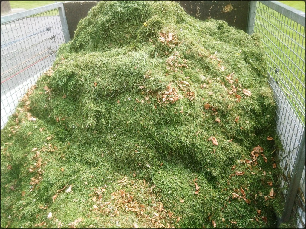 Une remorque remplie de pelouse