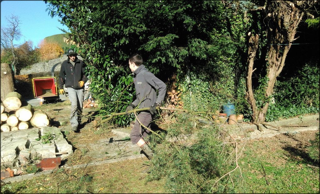 Entretient d'une propriétée