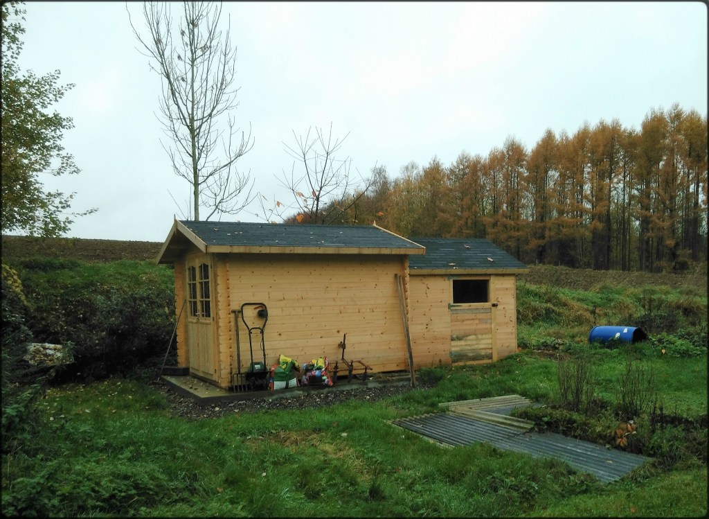 Construction d'un abri en bois