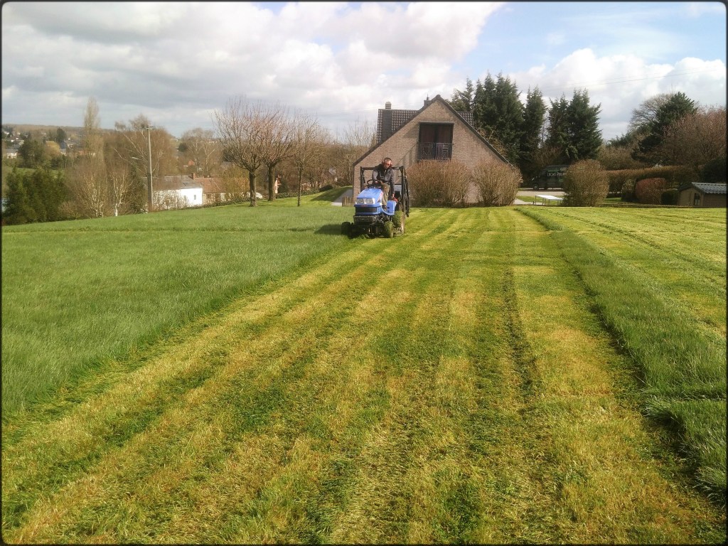 Tonte d'une grande pelouse avec un tracteur tondeuse