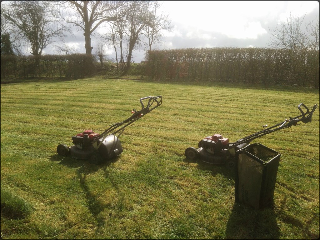 Tonte d'une grande pelouse avec deux tondeuse Honda