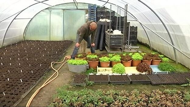 Philippe_Lhoas_dans_la_serre